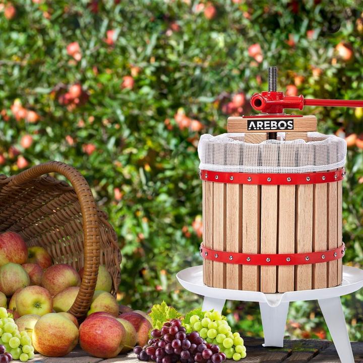 Actual product image Arebos Fruit press (CH plug)