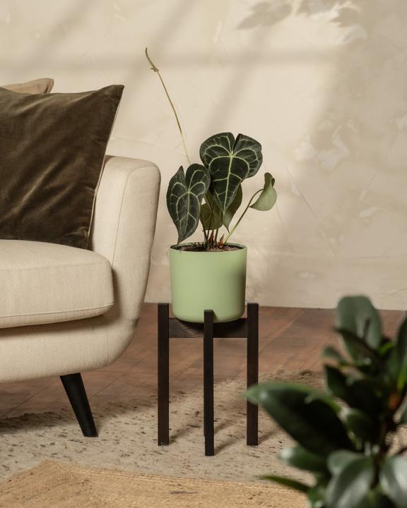 Actual product image feey Plant stand (Stelion | 18 cm Ø)