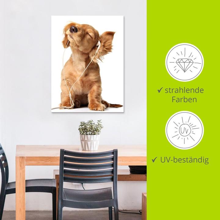 Image du produit Artland Jeune chien écoutant de la musique avec des écouteurs T5QE (60 x 80 cm)