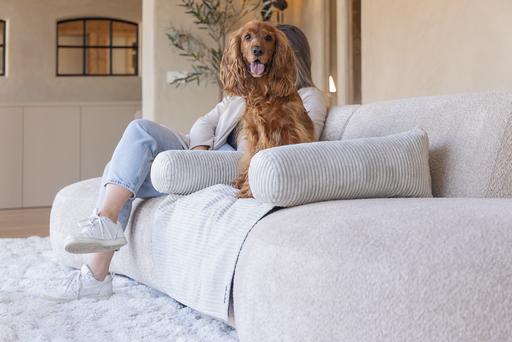 Image du produit Designed by Lotte Coussin de canapé Ribbed (Chien)