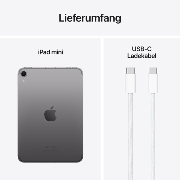 Actual product image Apple iPad mini (2024) (WLAN only, 8.30", 128 GB, Space grey)