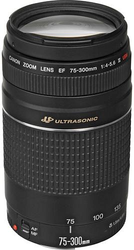 Image du produit Canon EF 75-300 mm f/4.0-5.6 USM III - Importation (Canon EF, Plein format)