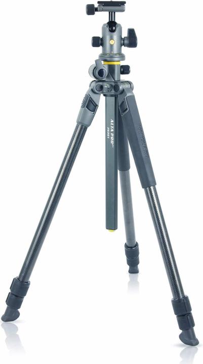 Image du produit Vanguard Alta Pro 2+ 263CB 100 (Carbone)
