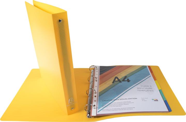 Actual product image Exacompta Ring binder A4 PP 4-ring 30mm spine 40mm (A4, 40 mm, 1 Piece)