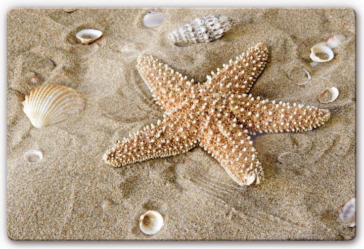 Actual product image Trenddeko Patrick the starfish (60 x 40 cm)
