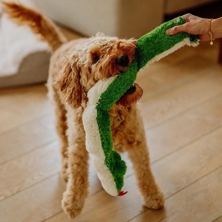 Actual product image Nobby Plush snake (Plush toy dog)