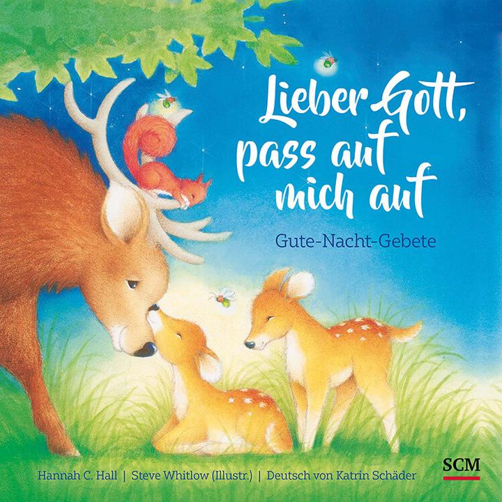 Produktbild Lieber Gott, pass auf mich auf (Deutsch, Hannah C. Hall, 2021)
