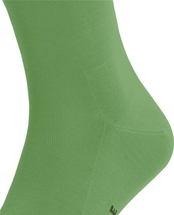 Actual product image Falke Tiago Men (43 - 44)