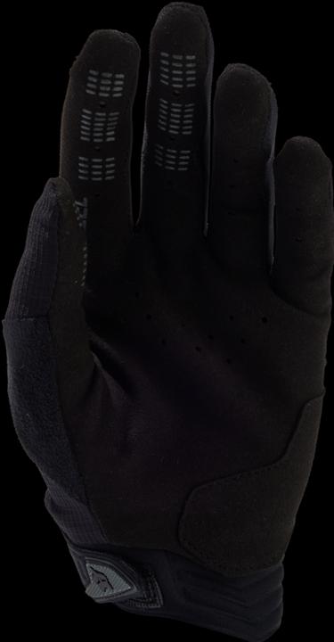 Image du produit Fox Gants 24 W Defend Blk (M)