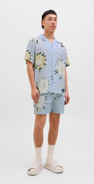 Immagine prodotto Jack & Jones Relaxed Fit Hemd Hemd (L)