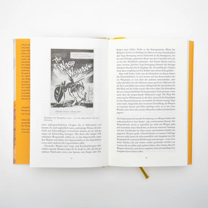 Produktbild Wespen – Eine Versöhnung (Deutsch, Andrea Schmittmann, Seirian Sumner, 2023)