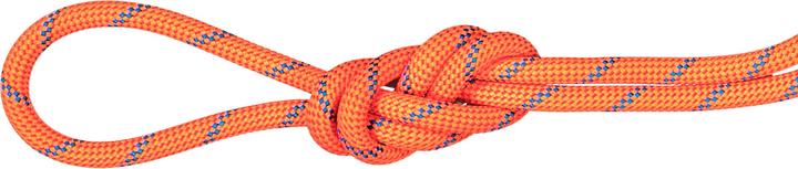 Actual product image Mammut 7.5 Alpine Sender Dry Rope 60m (60 m)