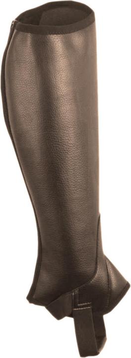 Actual product image Saxon Equileather Half Chaps (XS)