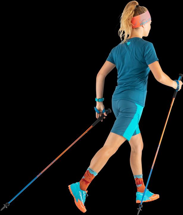 Immagine prodotto Dynafit Maglietta Traverse (36, S)
