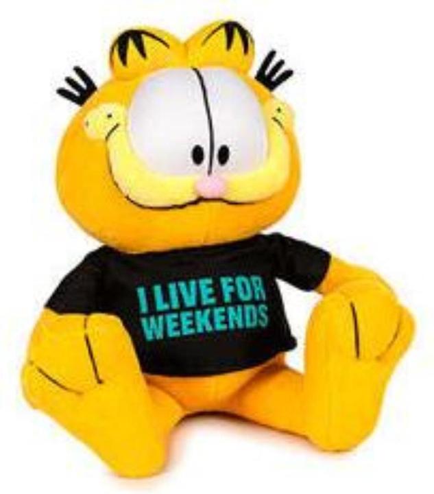Actual product image Tinisu Garfield cuddly toy - 30 cm soft soft toy (30 cm)