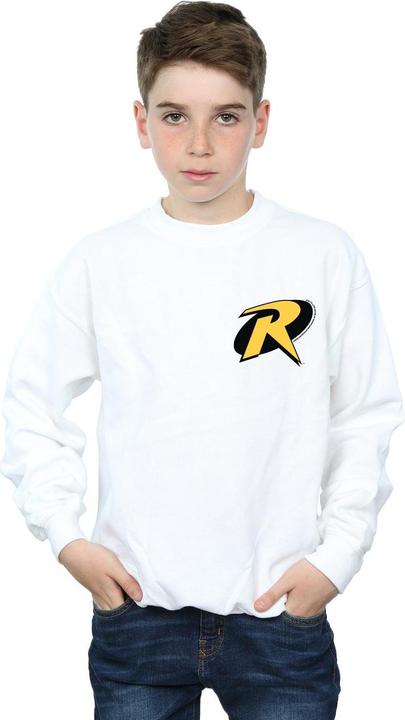 Actual product image Boys Batman Robin Logo Sweatshirt (140, 146)