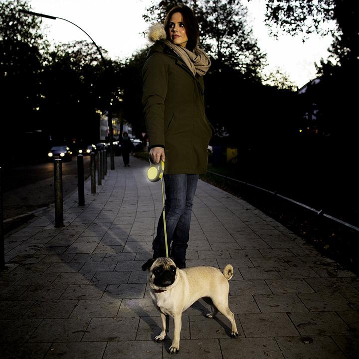 Image du produit Flexi nouveau néon (S, Chien, Promenade)
