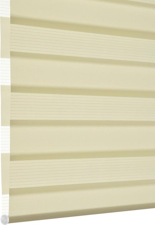 Actual product image Deco Company Double roller blind (70 x 150 cm)