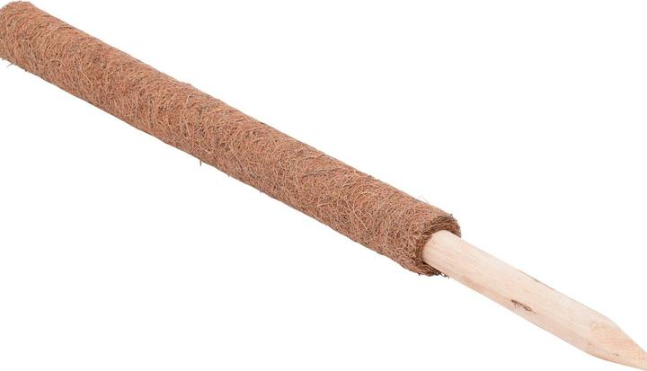 Actual product image Windhager Plant stick coconut (110 cm, 4.50 cm)