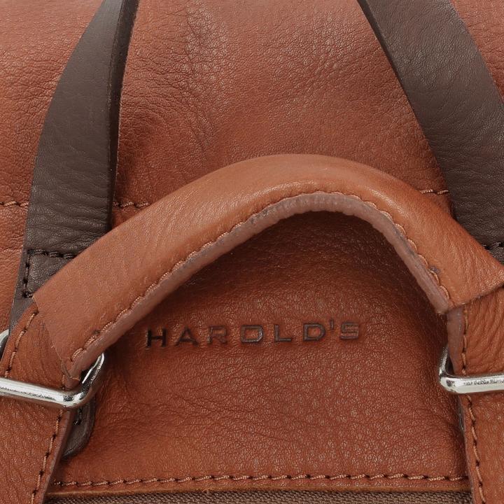 Produktbild Harolds Lift City Rucksack Leder 33 cm (5 l)