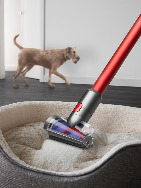 Produktbild Dyson Outsize Absolute