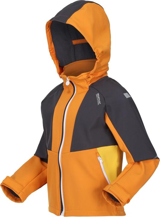 Produktbild Regatta Haydenbury Softshelljacke (128)