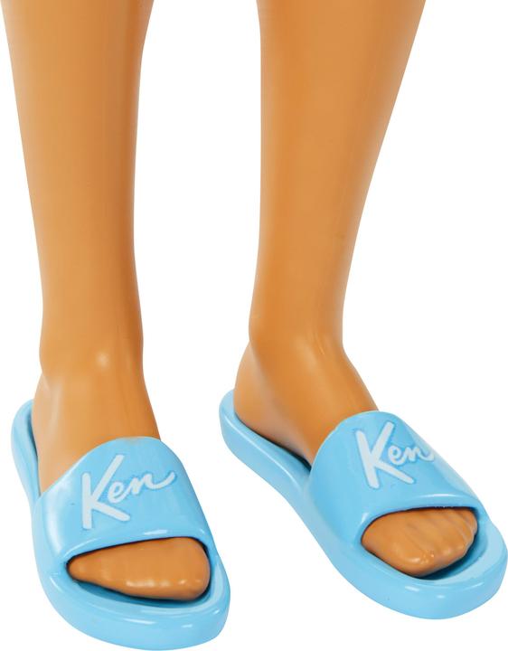 Produktbild Barbie Strandtag Ken