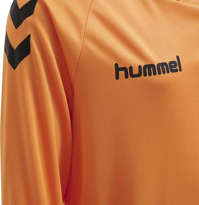 Actual product image hummel Core Kids Gk Set (128)