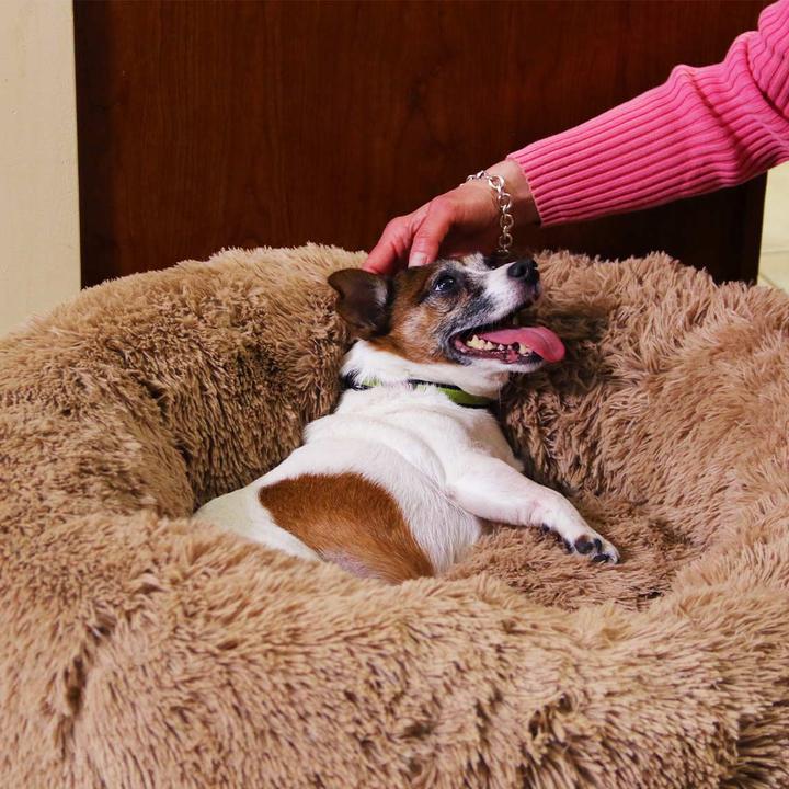 Actual product image MediaShop Peaceful Pooch (Dog)