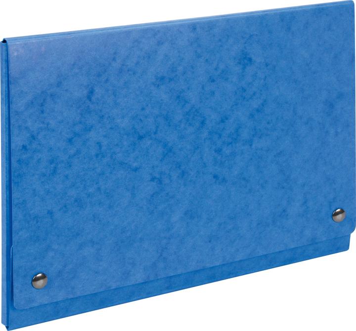 Actual product image Biella File collector TopColor (C4, 1 x)