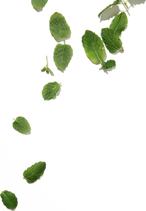 Immagine prodotto Stop The Water While Using Me! Menta marocchina (Balsamo, 10 ml)