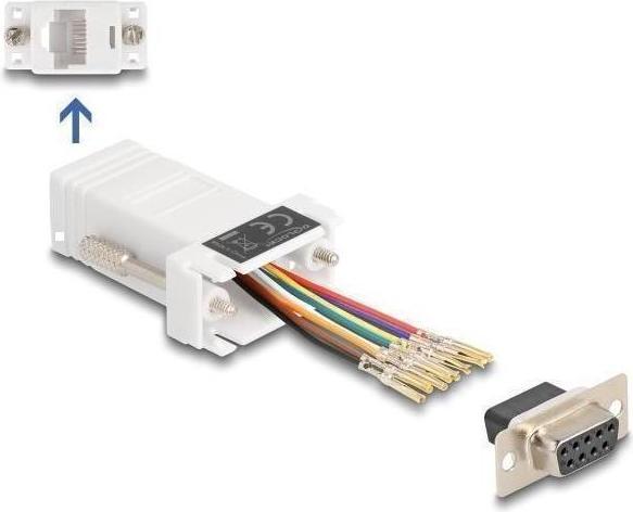 Actual product image Delock D-Sub 9 pin socket to RJ45 socket mounting kit white (0.05 m, VGA)