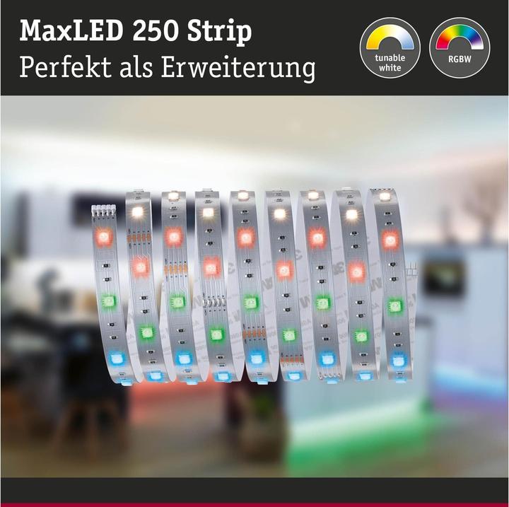 Actual product image Paulmann MaxLED 250 Stripe (RGBW, 250 cm, Indoor)