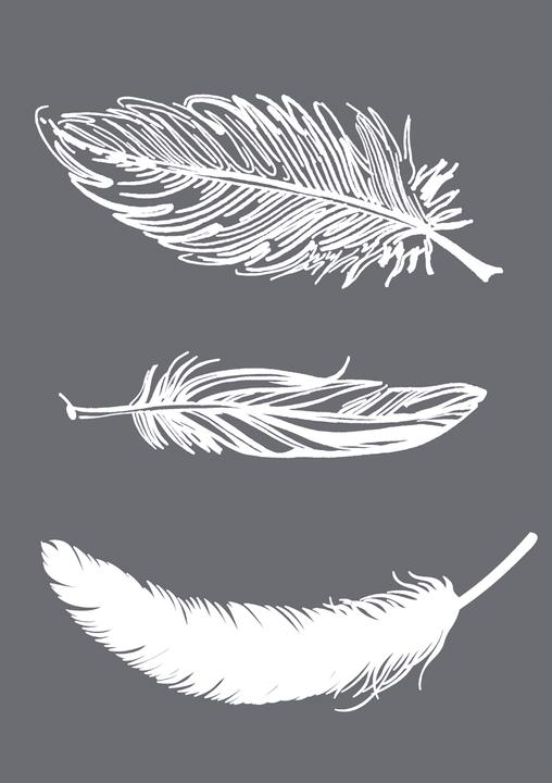 Immagine prodotto Rayher Stencil: piume, 1 pezzo