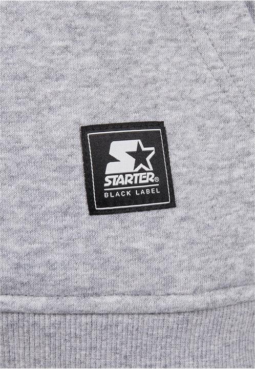 Image du produit Starter Two Color Logo Hoody (M)