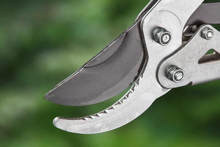 Actual product image Verto 258 Branch shears bypass