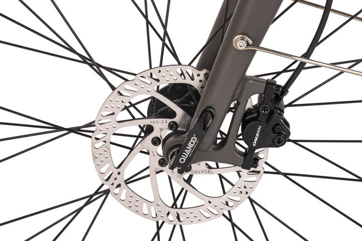 Actual product image Adore City Pedelec 28" Mantova (52 cm)