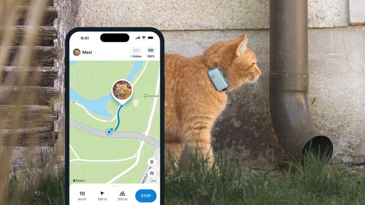 Productafbeelding Tractive GPS CAT Mini - mint (Eén maat voor iedereen, Kat, Algemeen)
