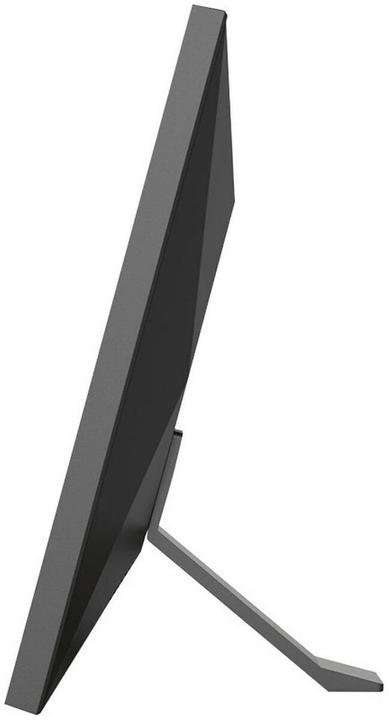 Actual product image AGFAPHOTO APF1000WIFI (10", 1280 x 800 pixels)