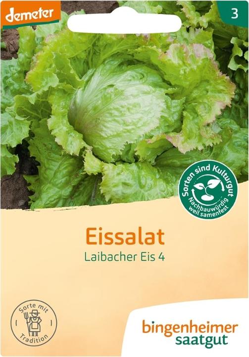 Produktbild Bingenheimer Saatgut Eissalat Laibacher Eis (Keimlinge)