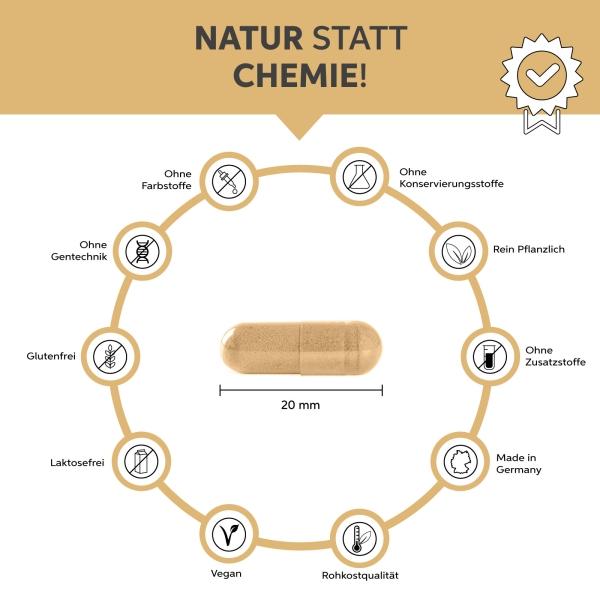 Produktbild Eltabia Bio Flohsamenschalen Kapseln 200 (200 Stück, Kapseln)
