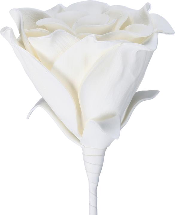 Actual product image EGLO LIVING Molave (65 cm)