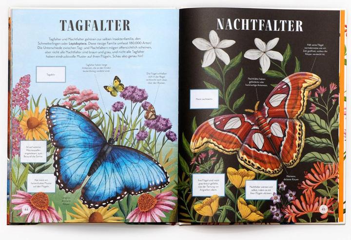 Produktbild Wer ist wer? (Deutsch, Lucy Thorn, Sarah Pasquay, Lucy Rose, 2024)