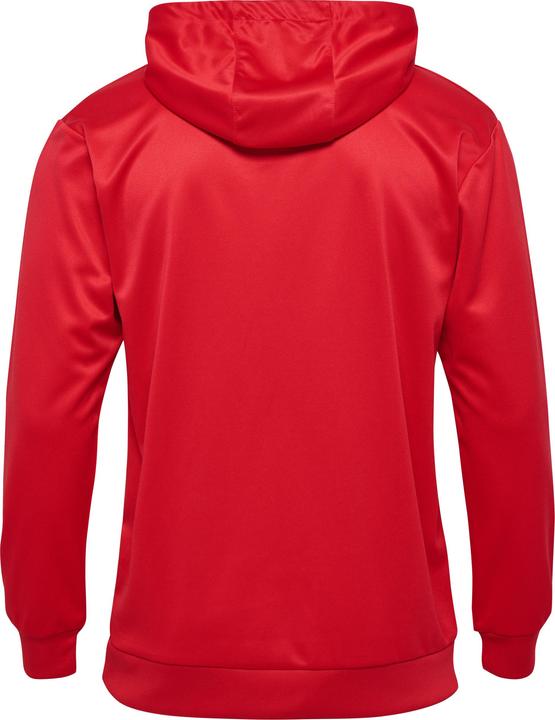Actual product image hummel hmlLOGO HOODIE (XXL)