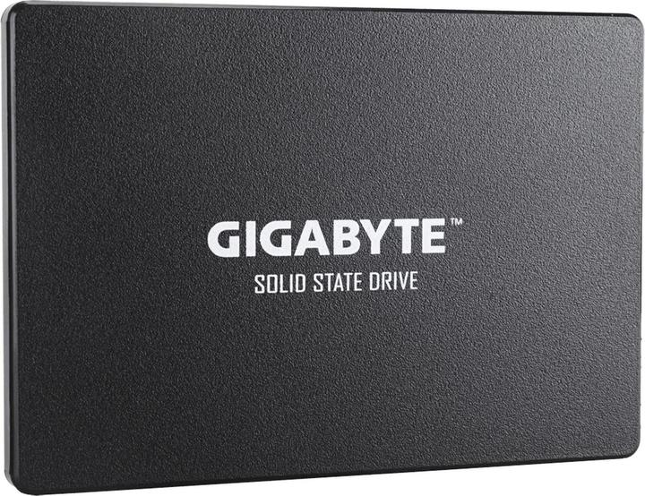 Image du produit Gigabyte GP-GSTFS31100TNTD (1000 Go, 2.5")