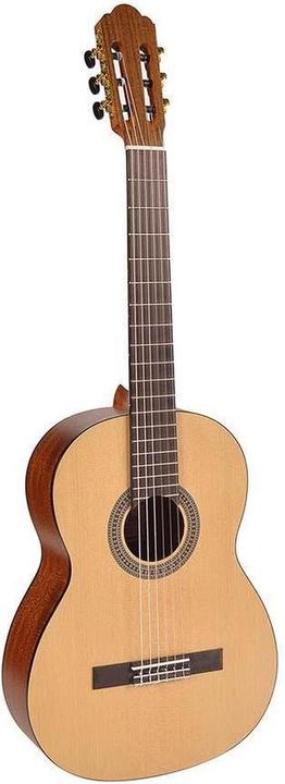 Immagine prodotto Salvador Dalí gitaar 4//4 Salvador CS-244 (Chitarra elettrica)
