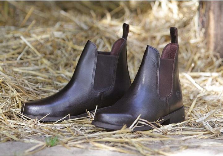 Image du produit Harry's Horse Saint (31)