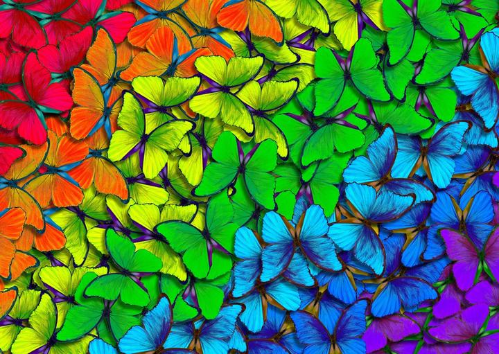 Actual product image Enjoy Puzzle ENJOY-1961 - Rainbow Butterflies, jigsaw puzzle, 1000 pieces (1000 pieces)