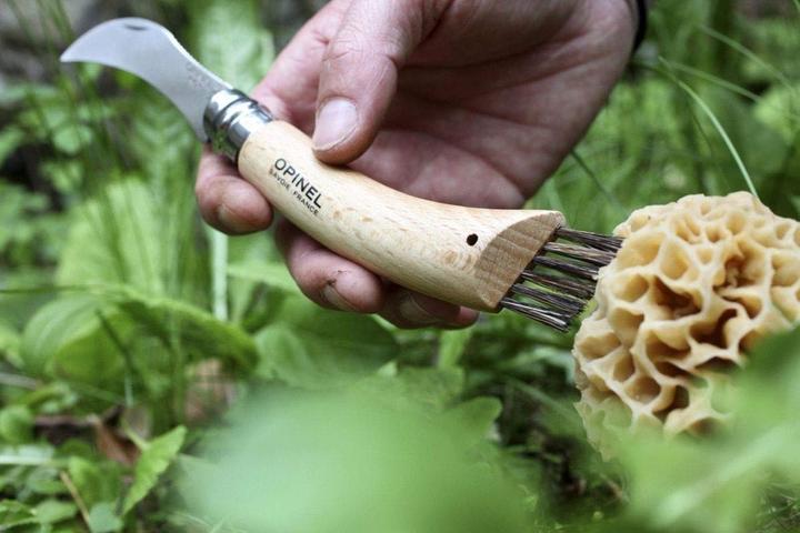 Immagine prodotto Opinel N. 8 (7 cm)