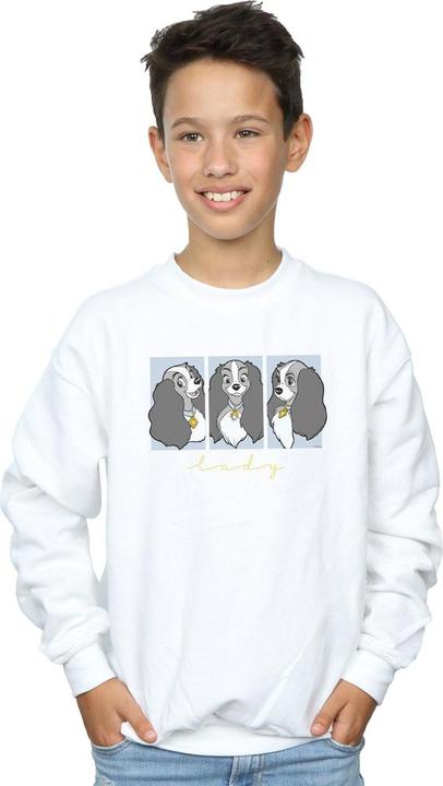 Image du produit Disney - Sweat LADY AND THE TRAMP LADY FRAMES - Garçon (116)